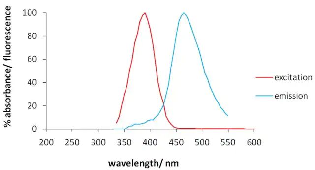 Monoclonal Anti-Glua1/Glur1-Atto 390 antibody produced in mouse