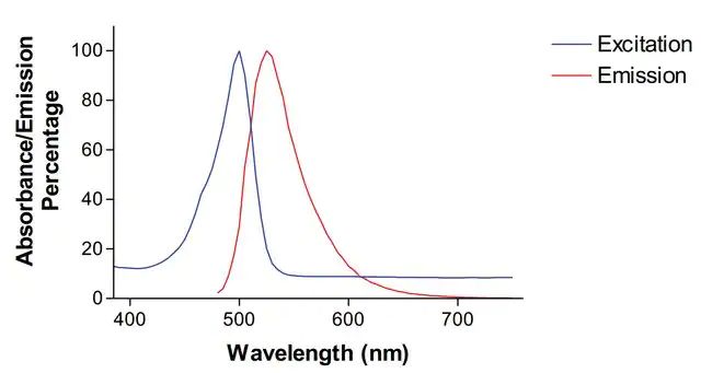 Monoclonal Anti-Glua1/Glur1-Fitc antibody produced in mouse