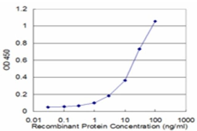 Monoclonal Anti-GJB1 antibody produced in mouse