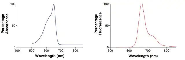 Monoclonal Anti-Glun2A/Nr2A-Apc antibody produced in mouse