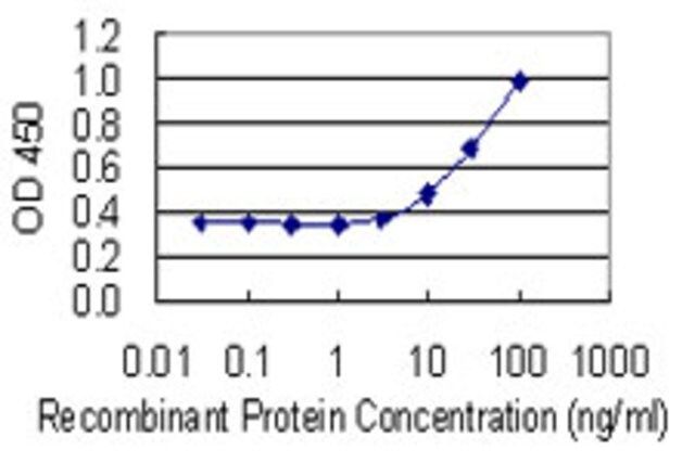 Monoclonal Anti-GLO1, (N-terminal) antibody produced in mouse