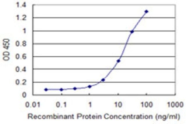 Monoclonal Anti-GJB1 antibody produced in mouse