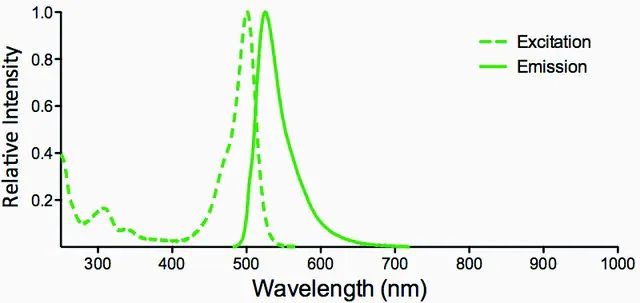 Monoclonal Anti-Dityrosine-Atto 488 antibody produced in mouse