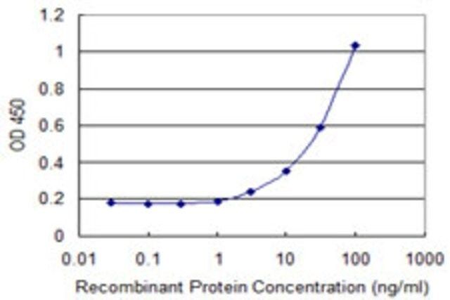 Monoclonal Anti-DPAGT1 antibody produced in mouse