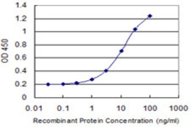 Monoclonal Anti-DUSP16, (C-terminal) antibody produced in mouse