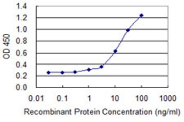 Monoclonal Anti-DUSP3 antibody produced in mouse