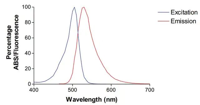 Monoclonal Anti-Fgfa/Fhfa-Atto 488 antibody produced in mouse