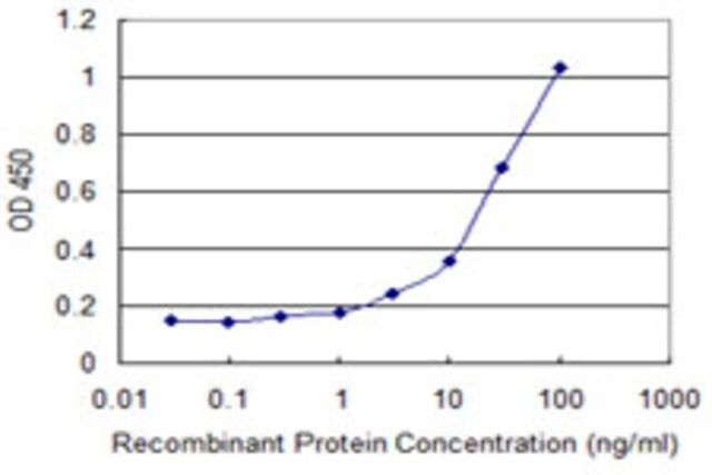 Monoclonal Anti-CYB5R3 antibody produced in mouse