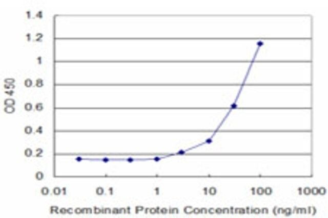 Monoclonal Anti-CYP2D6 antibody produced in mouse