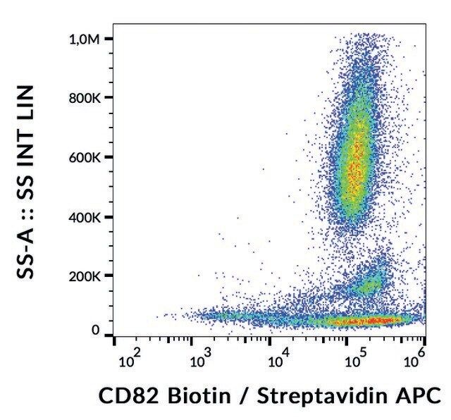 Monoclonal Anti-CD82 antibody produced in mouse