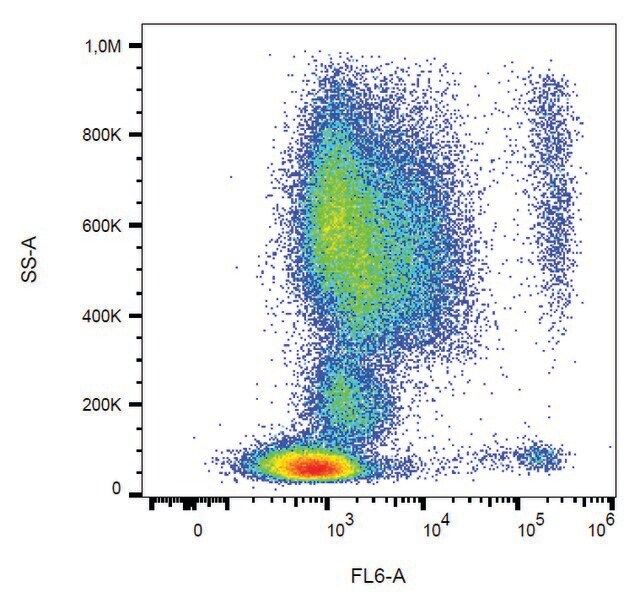 Monoclonal Anti-CD193 antibody produced in mouse