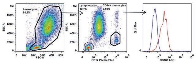 Monoclonal Anti-CD163 antibody produced in mouse