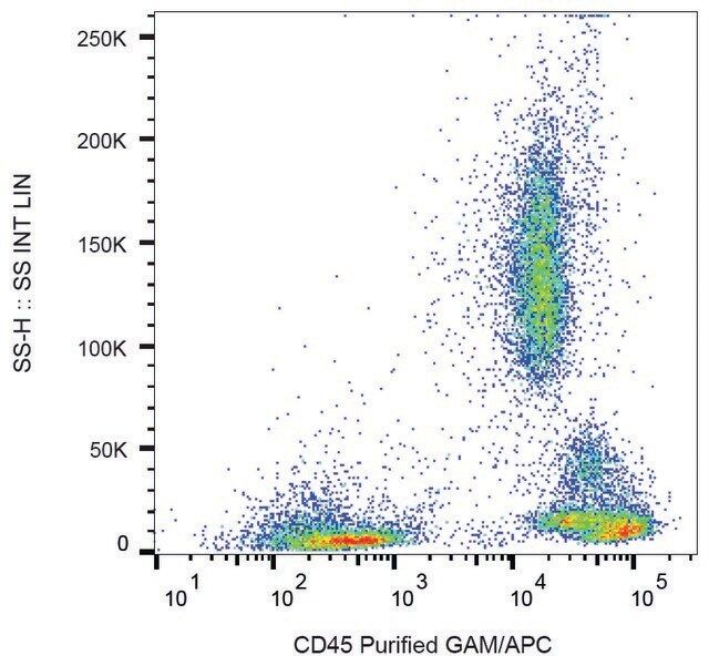 Monoclonal Anti-CD45 antibody produced in mouse