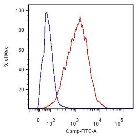 Monoclonal Anti-CD54-FITC antibody produced in rat