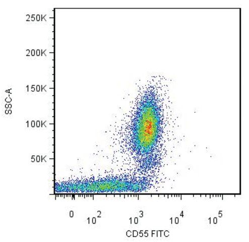 Monoclonal Anti-CD55-FITC antibody produced in mouse