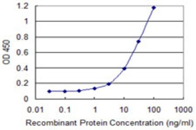 Monoclonal Anti-ARNT2 antibody produced in mouse