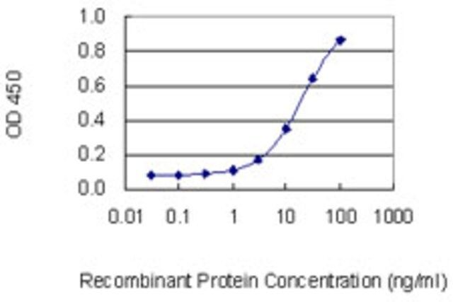 Monoclonal Anti-ASB2 antibody produced in mouse