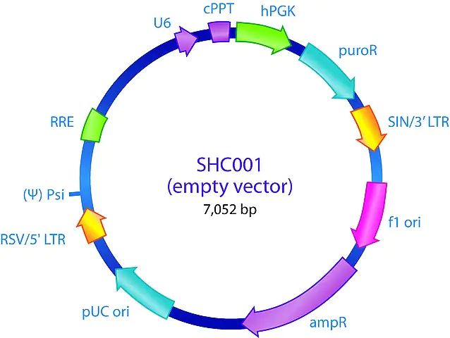 MISSION<sup>®</sup> pLKO.1-puro Empty Vector Control Plasmid DNA