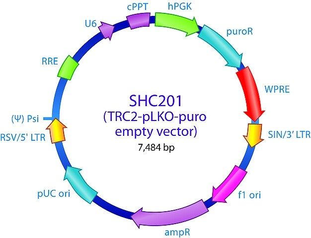 MISSION<sup>®</sup> TRC2 pLKO.5-puro Empty Vector Control Plasmid DNA