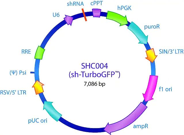 MISSION<sup>®</sup> pLKO.1-puro TurboGFP<sup>TM</sup> shRNA Control Plasmid DNA