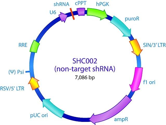 MISSION<sup>®</sup> pLKO.1-puro Non-Mammalian shRNA Control Plasmid DNA