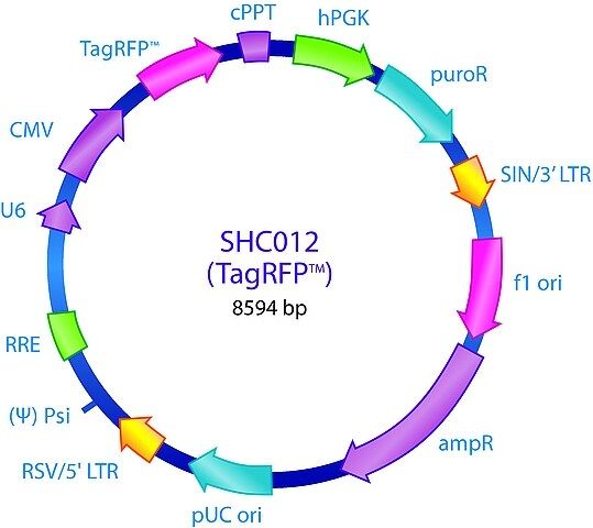 MISSION<sup>®</sup> pLKO.1-puro-CMV-TagRFP<sup>TM</sup> Positive Control Plasmid DNA