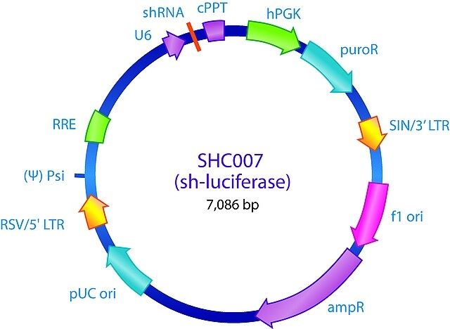 MISSION<sup>®</sup> pLKO.1-puro Luciferase shRNA Control Plasmid DNA