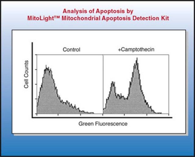 MitoLight Mitochondrial Apoptosis Detection Kit