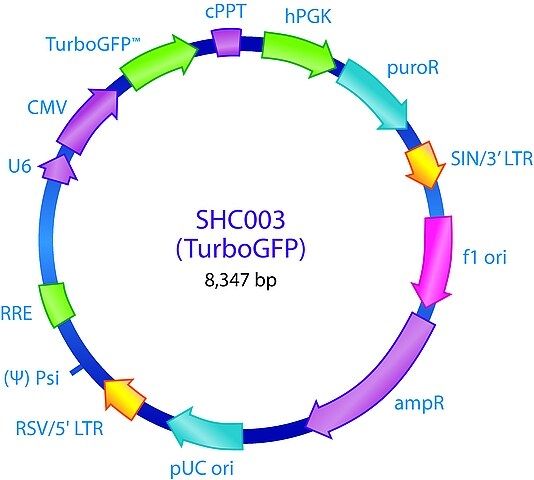 MISSION<sup>®</sup> pLKO.1-puro-CMV-TurboGFP<sup>TM</sup> Positive Control Plasmid DNA