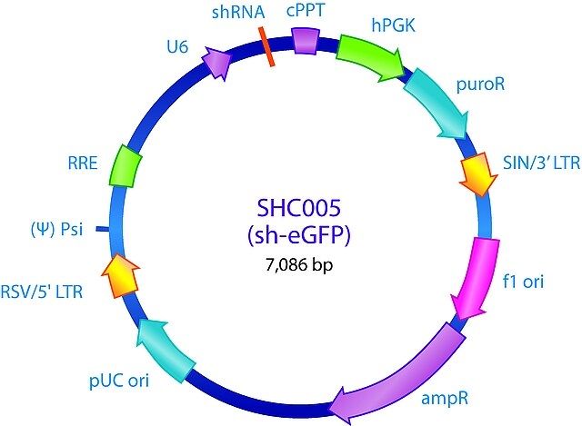 MISSION<sup>®</sup> pLKO.1-puro eGFP shRNA Control Plasmid DNA