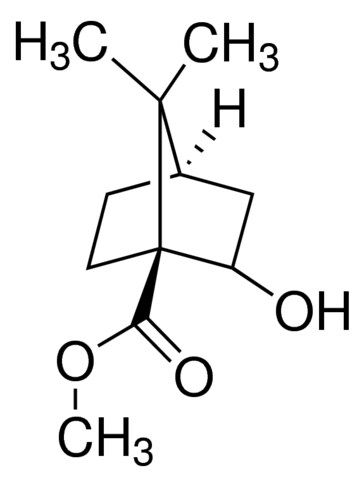 Methyl 2-hydroxy-7,7-dimethylbicyclo[2.2.1]heptane-1-carboxylate