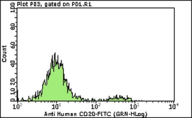 Milli-Mark Anti-CD20 -FITC Antibody, clone B-Ly1