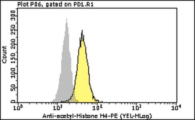 Milli-Mark<sup>®</sup> Anti-acetyl-Histone H4 Antibody-PE