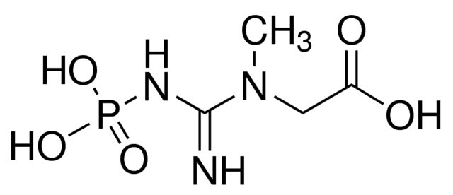 [[Imino(phosphonoamino)methyl](methyl)amino]acetic acid