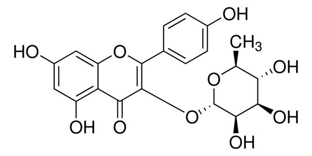 Kaempferol 3-rhamnoside