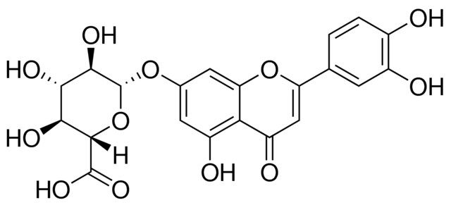 Luteolin 7-glucuronide