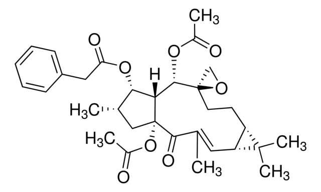 Euphorbiasteroid