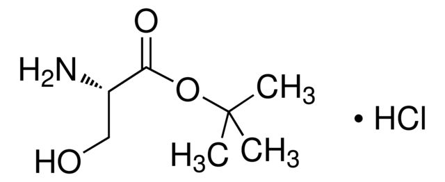 H-Ser-OtBu hydrochloride