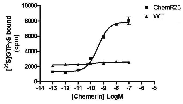 ChemiSCREEN Membrane Preparation Recombinant Human ChemR23 Chemoattractant Receptor