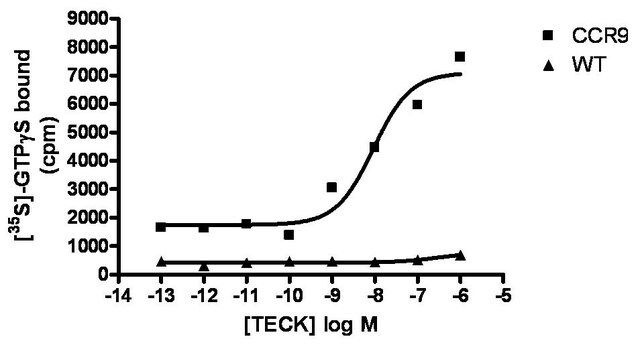 ChemiSCREEN CCR9 Membrane Preparation