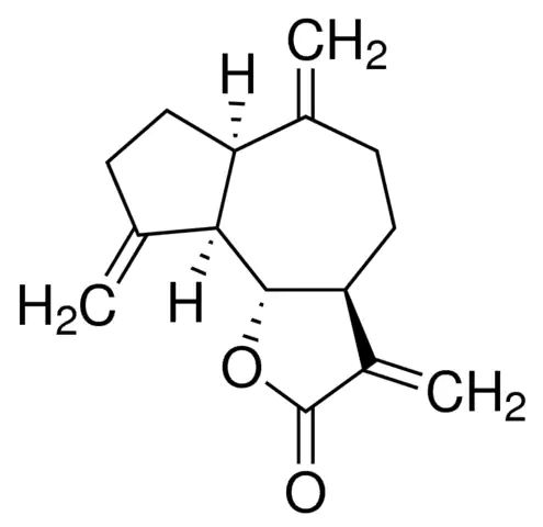 Dehydrocostus Lactone