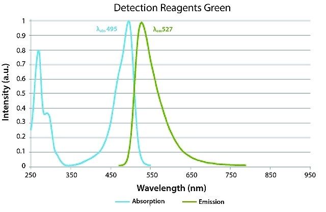 Duolink<sup>®</sup> In Situ Detection Reagents Green