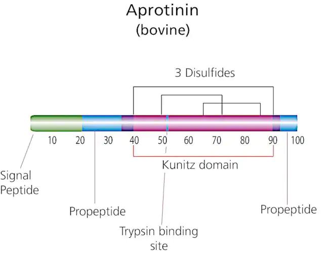 Aprotinin from bovine lung