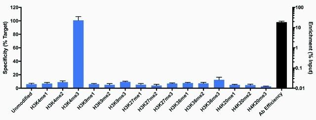 Anti-Trimethyl-Histone H3 (Lys4) antibody, Rabbit monoclonal