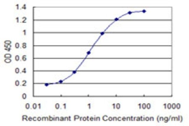 ANTI-SUPT16H antibody produced in mouse