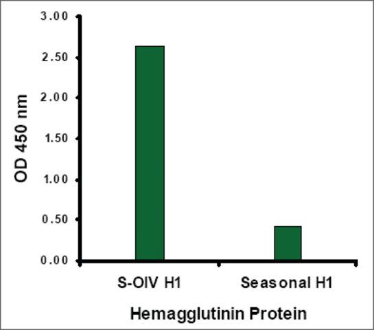 Anti-Swine H1N1 Hemagglutinin antibody produced in rabbit