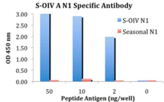 Anti-Swine H1N1 Neuraminidase antibody produced in rabbit