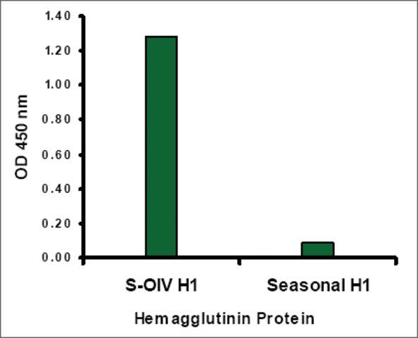 Anti-Swine H1N1 Hemagglutinin antibody produced in rabbit