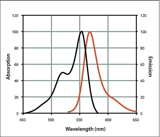 Anti-Sheep IgG (H+L), highly cross-adsorbed, CF<sup>TM</sup> 555 antibody produced in donkey