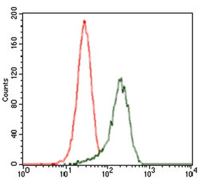 Anti-SHH Antibody, clone 5H4